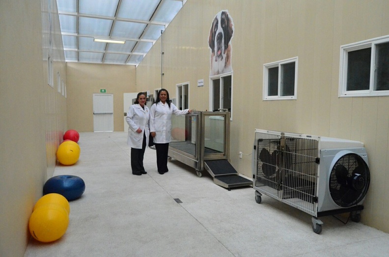 2016/02/HospitalVeterinario2.jpg