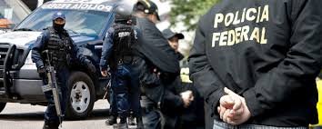 Asegura PF más de ocho kilos de metanfetamina