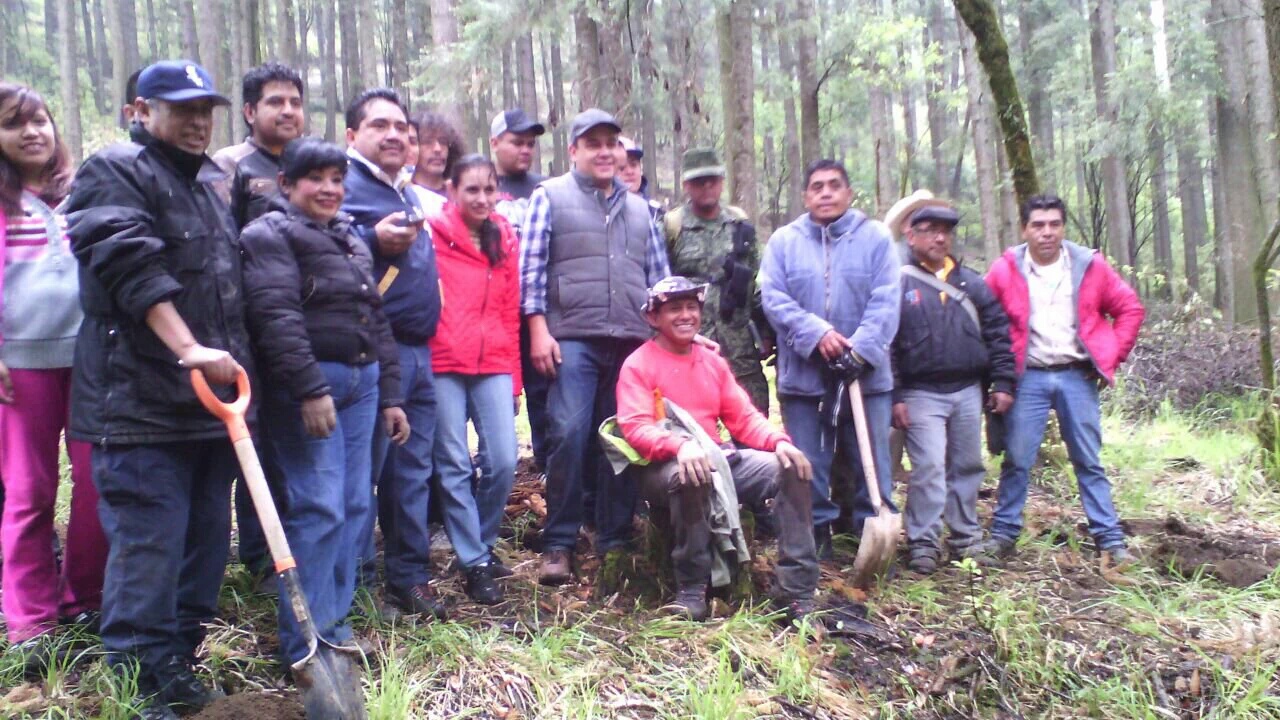 «No hay propuesta real de CdMx para reforestar bosques» acusó Mercado