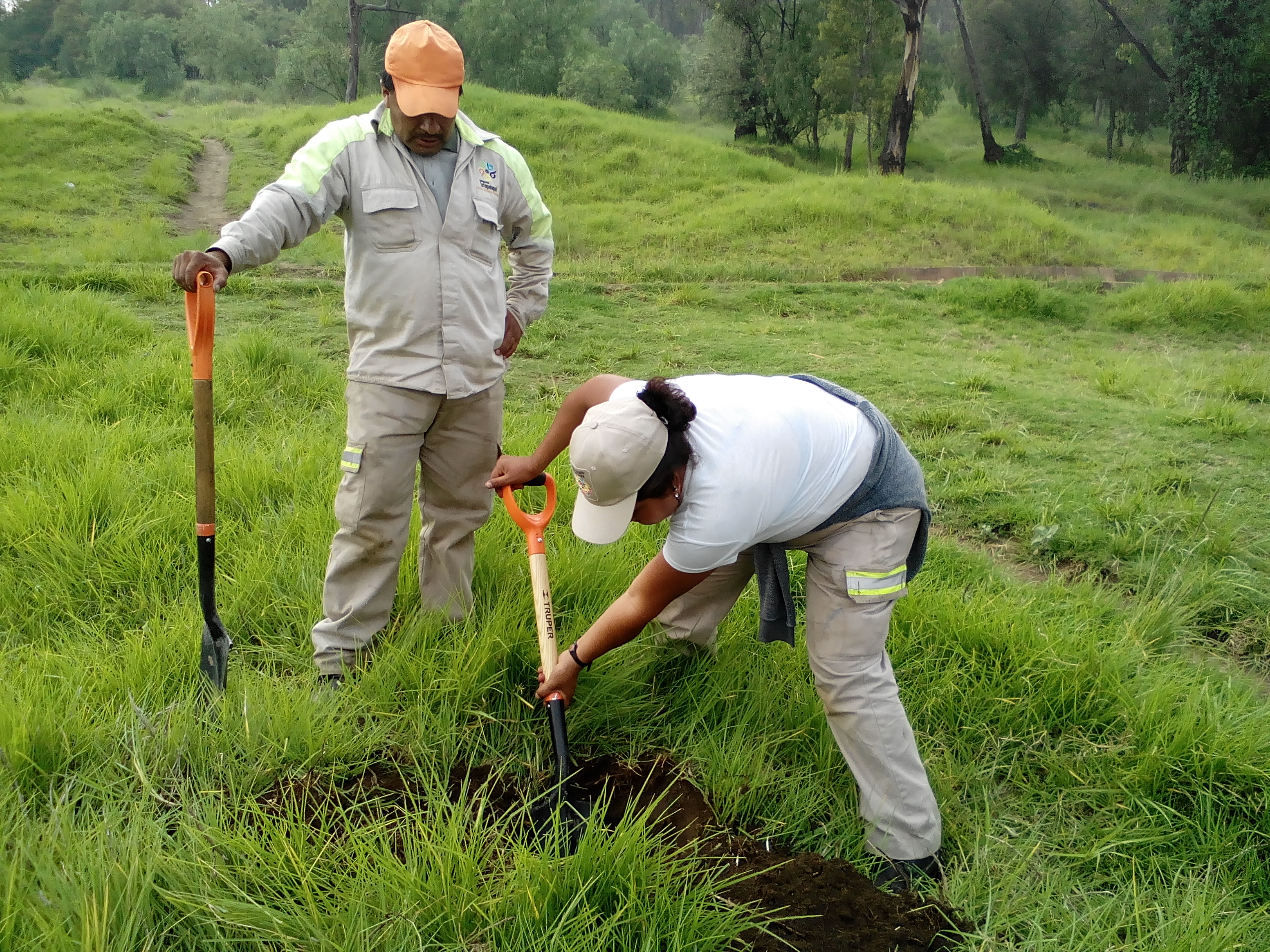 Promete Dione Anguiano plantar 110 mil árboles durante su gestión
