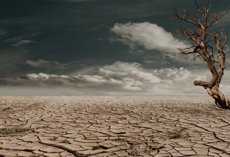 El calentamiento del planeta elevará la temperatura global