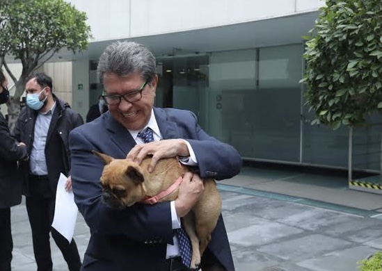 Monreal al rescate de los animales