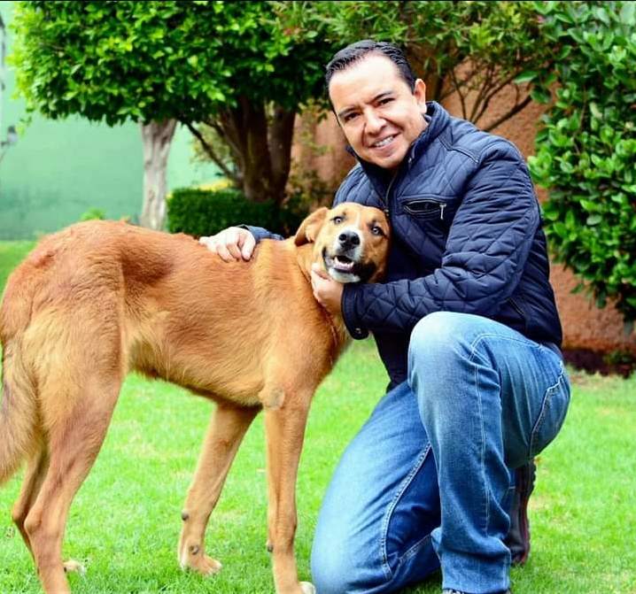 PAN pidió quitar impuesto al alimento de mascotas