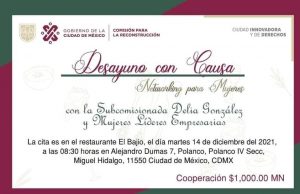 ¿Defraudación y usurpación en Reconstrucción de Sheinbaum?