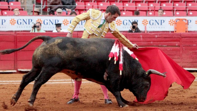 Frenan prohibición de corridas de toros.