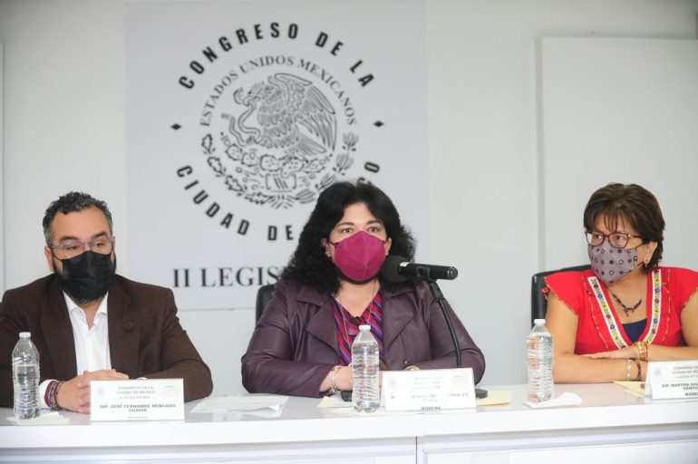 Promoverán diputados de Morena la Tarjeta Claudia y la reforma eléctrica