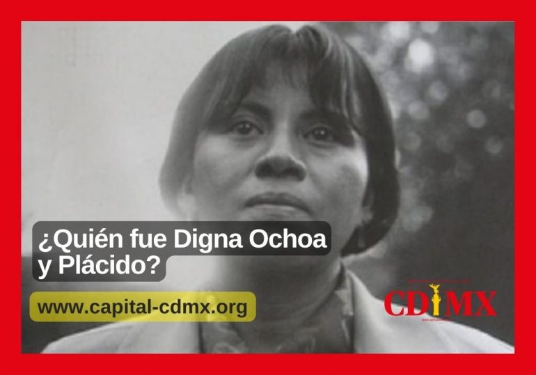 ¿Quién fue Digna Ochoa y Plácido?