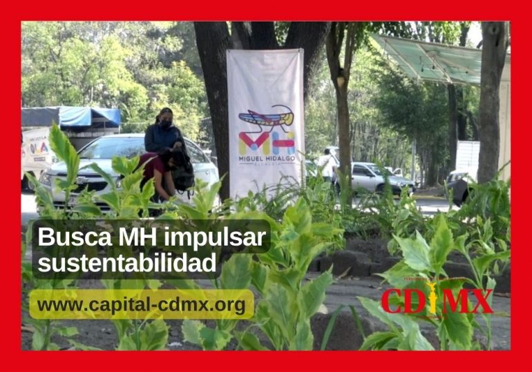 Busca MH impulsar sustentabilidad