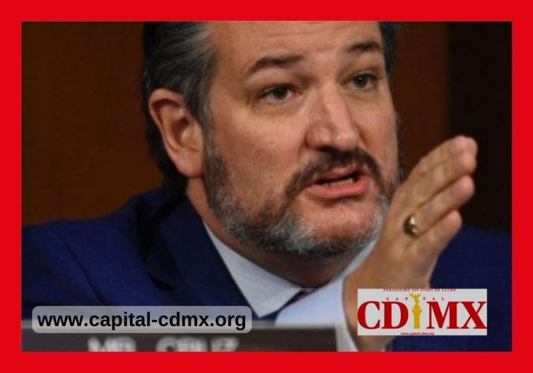 Senador acusa a Obrador de no proteger a los periodistas