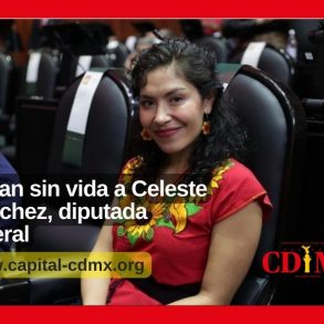 Hallan sin vida a Celeste Sánchez, diputada federal
