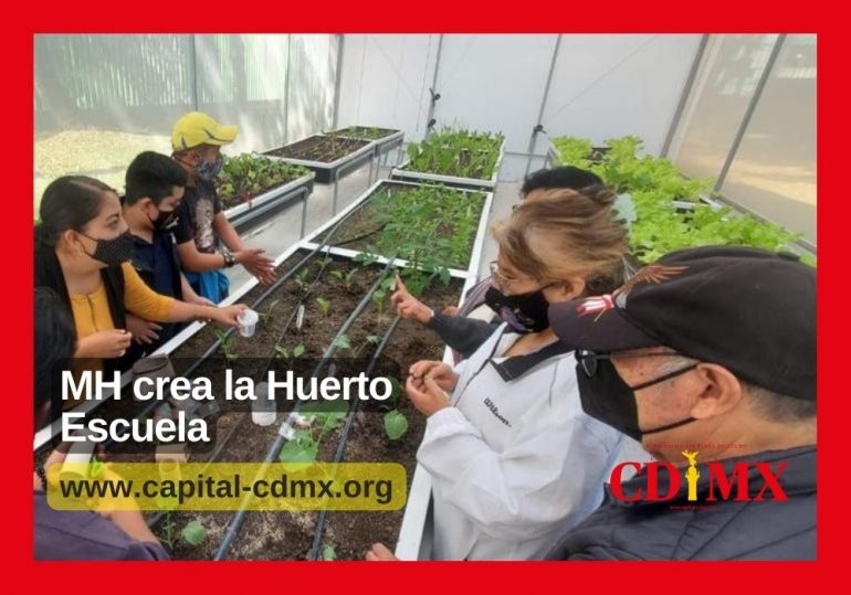 MH crea Huerto Escuela