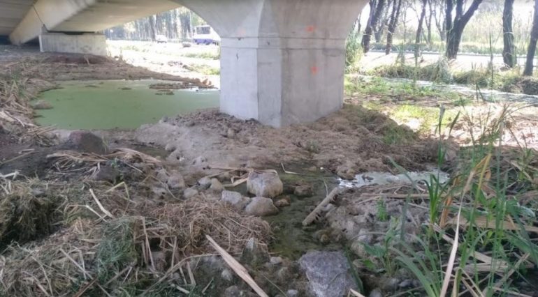 Denunciarán penalmente a Marina Robles y Lilian Guigue por daño a humedal en Xochimilco