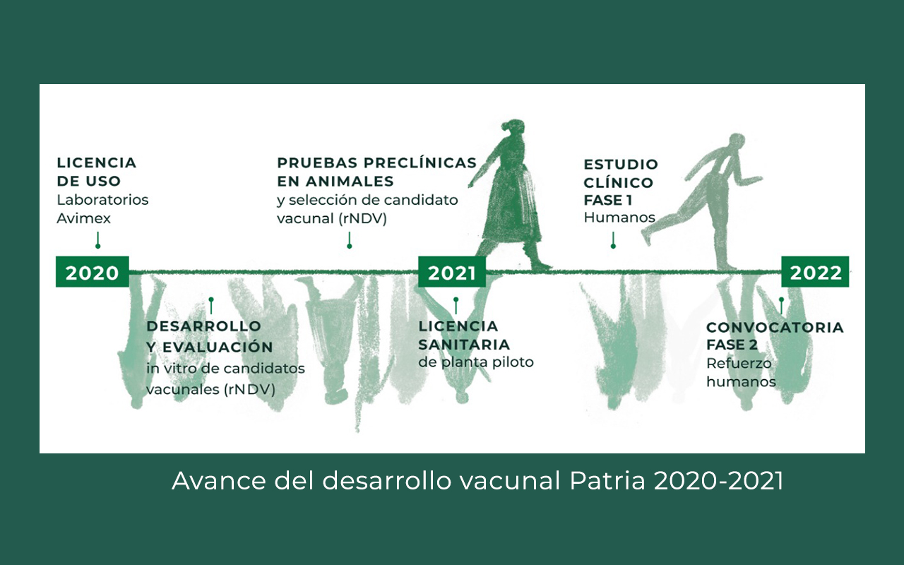 Gráfico del avance al desarrollo final de la vacuna patria