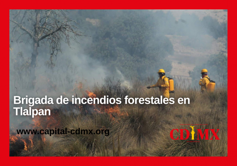 Brigada de incendios forestales en Tlalpan
