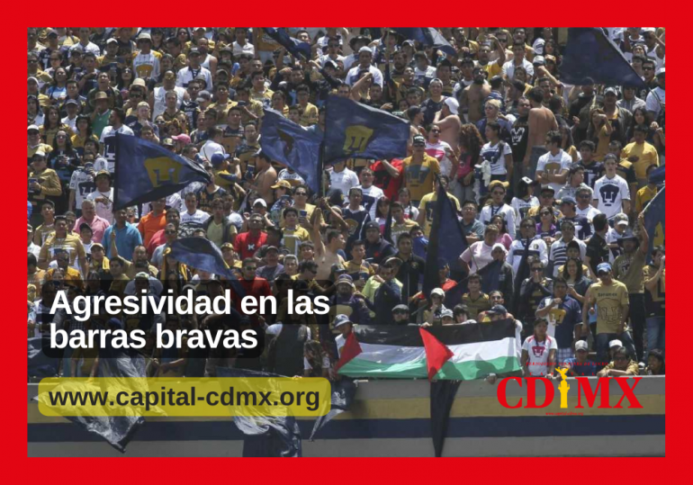 Agresividad en las barras bravas
