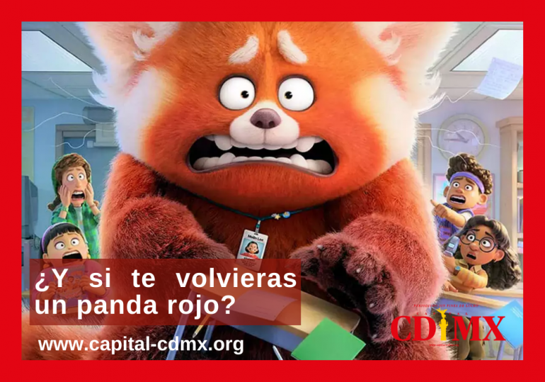¿Y si te volvieras un panda rojo?