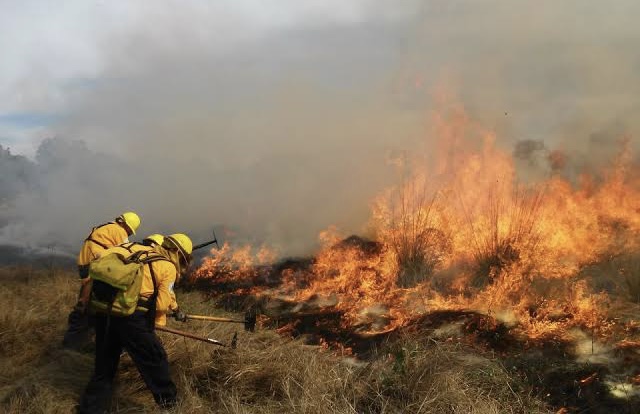 Incendios forestales consumen la CDMX