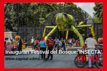 Inauguran 'Festival del Bosque: INSECTA'