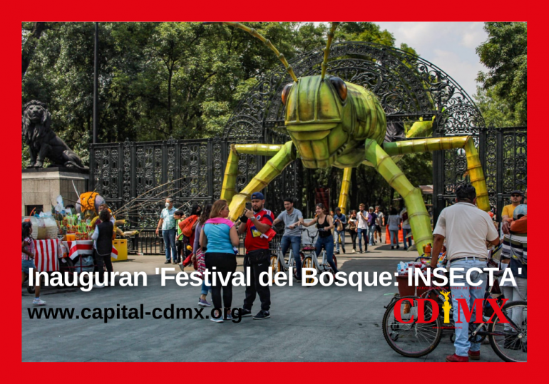 Inauguran 'Festival del Bosque: INSECTA'