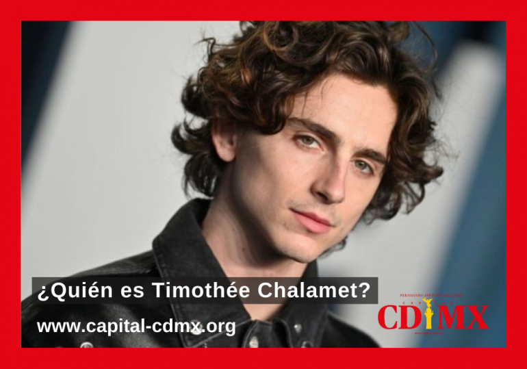 ¿Quién es Timothée Chalamet?