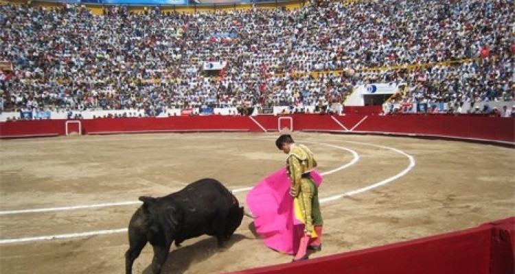 Corridas de toros en la CDMX quedan suspendidas definitivamente