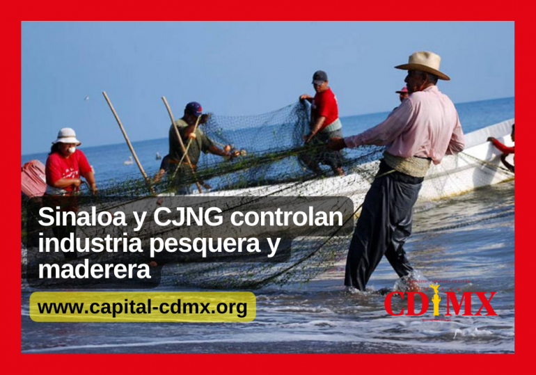 Sinaloa y CJNG controlan industria pesquera y maderera
