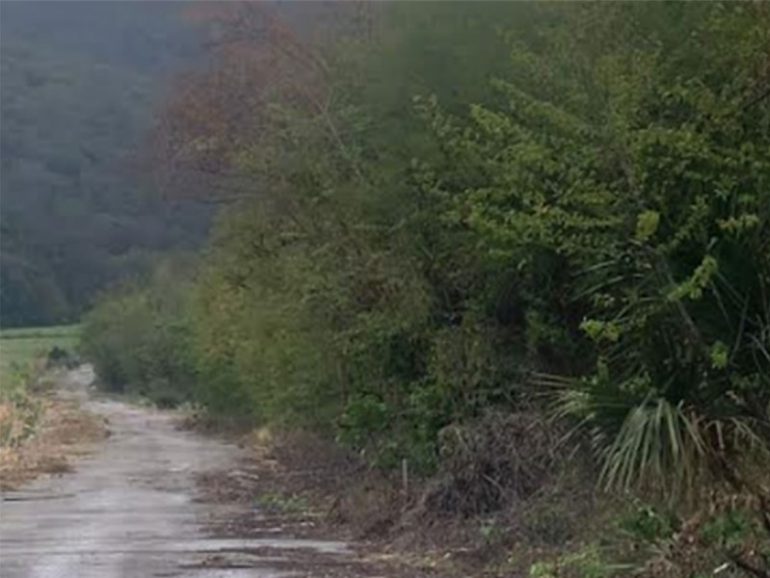 Carretera de Ciudad Valles a Río Verde