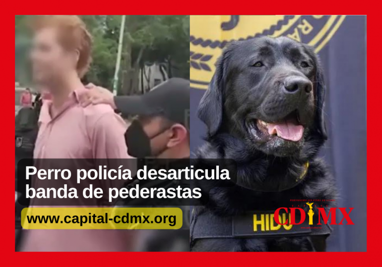 Perro policía desarticula banda de pederastas