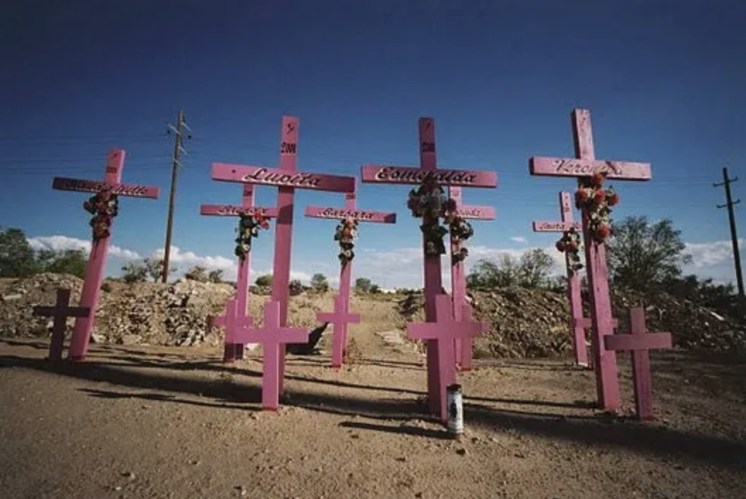 El fenómeno de los feminicidios se ha vuelto parte de la realidad mexicana