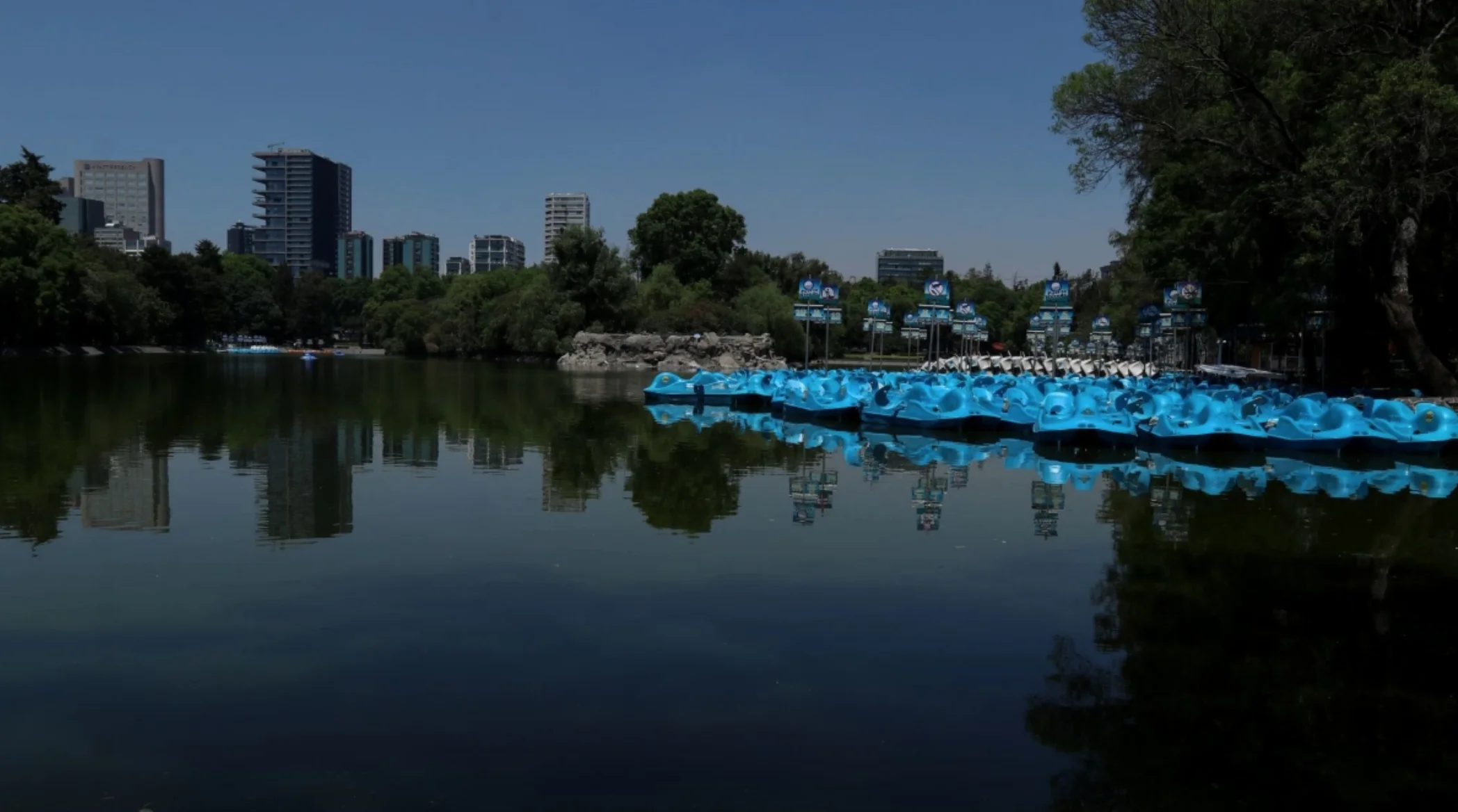 Hallan cuerpo en lago de Chapultepec