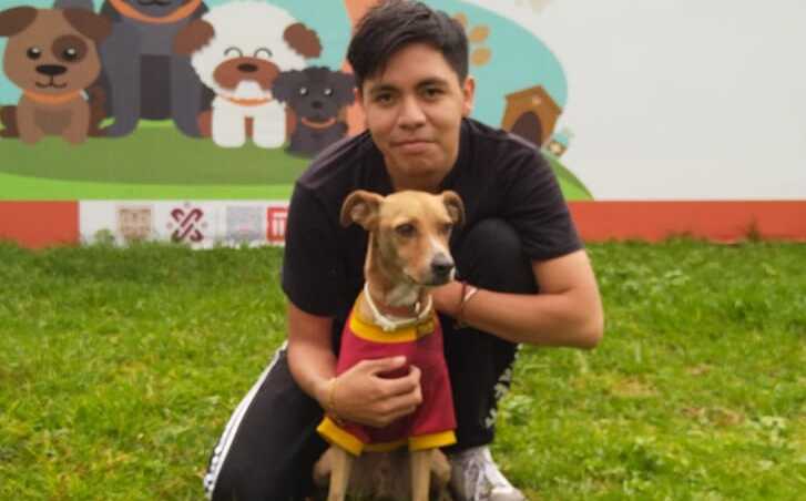 Rescatan a «Flash», el perro que cayó a las vías del Metro