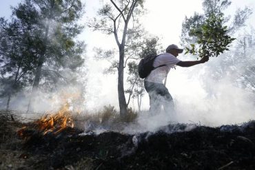 Delitos ambientales en México se cometen en silencio