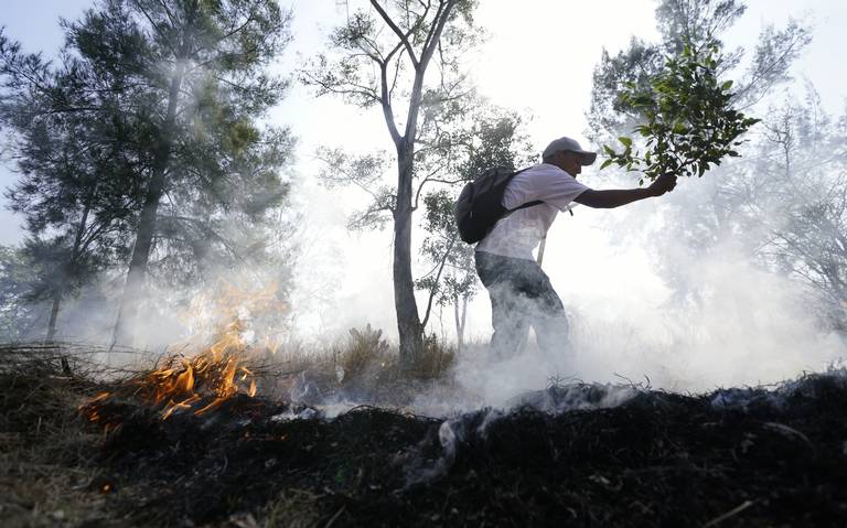 Delitos ambientales en México se cometen en silencio