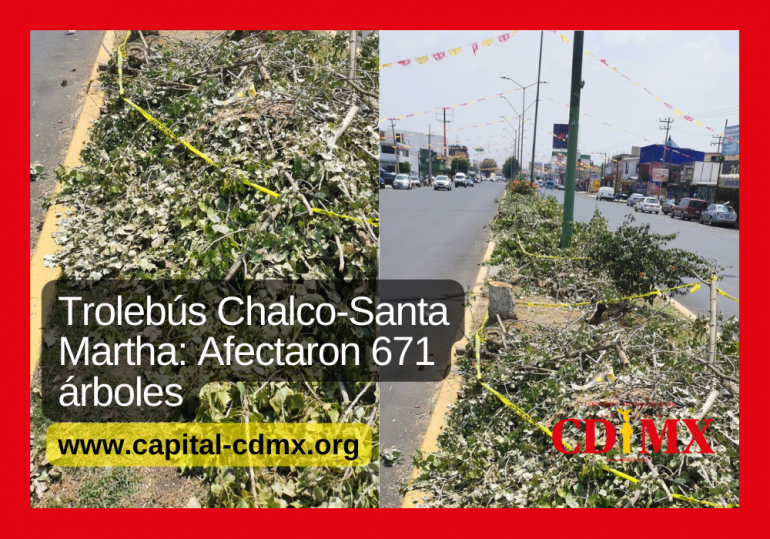 Trolebús Chalco-Santa Martha: Afectaron 671 árboles