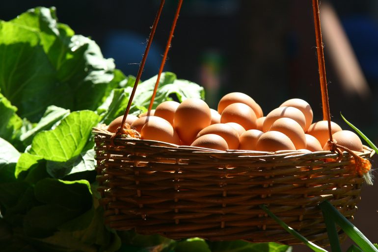 ¿Qué es el programa “Huevos en casa” implementado en la alcaldía Iztapalapa?