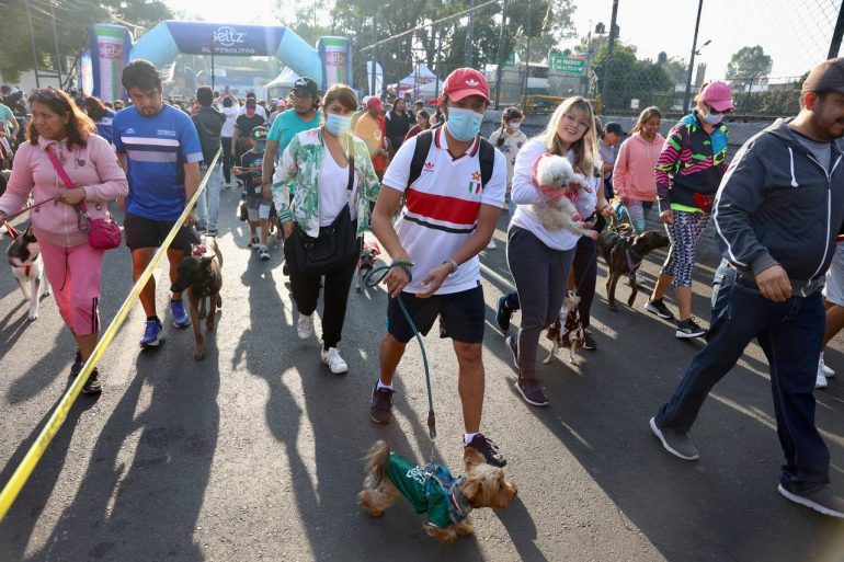 Maratón canino: Así se vivió en Coyoacán la segunda edición