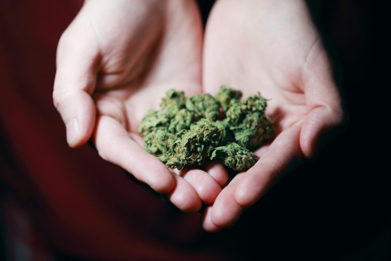 ¿Cuántos gramos de mariguana puedo portar en México de acuerdo a la ley?