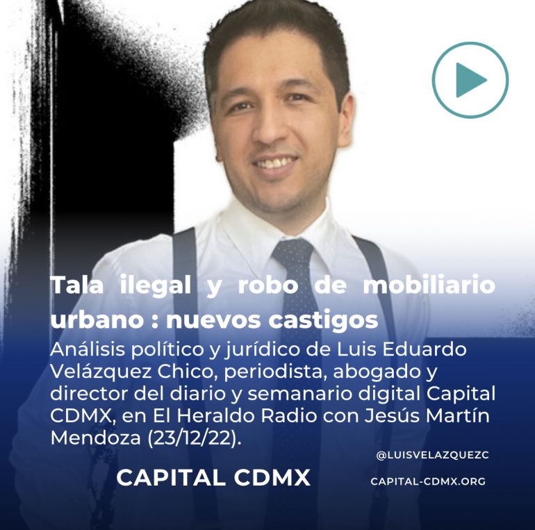 Tala ilegal y robo de mobiliario urbano: nuevos delitos en CDMX