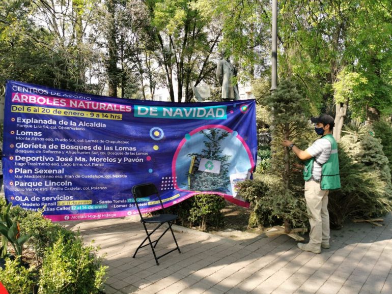 MH abre nueve centros de acopio de árboles de Navidad
