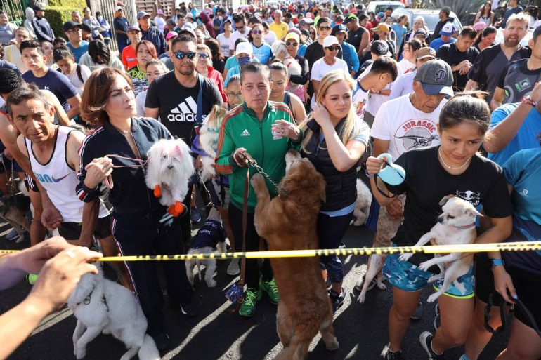 Maratón Canino 2023 en Coyoacán