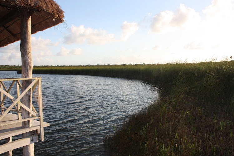 Ejidatarios de Quintana Roo denuncian despojo y ecocidio  por construcción de “CIUDAD  AURUM”
