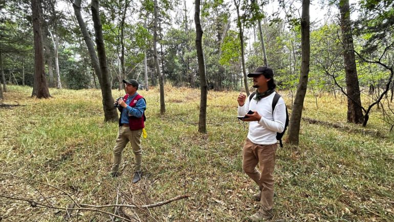 Empleos Verdes: Sedema refuerza monitoreo de biodiversidad