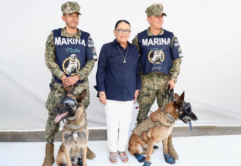 Gobierno Federal buscará Ley nacional contra el maltrato animal
