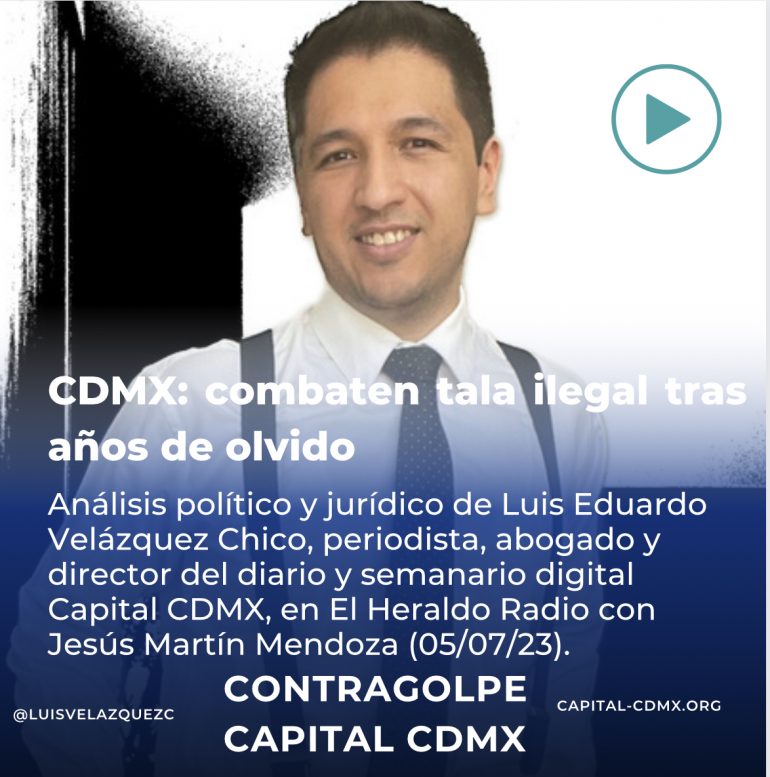 CDMX: combaten tala ilegal tras años de olvido