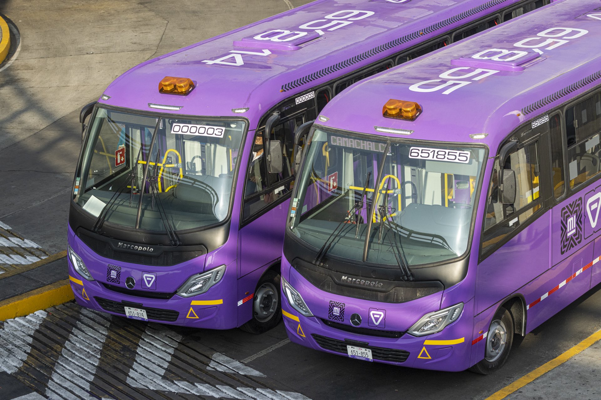 microbus-morado-cdmx rutas de camión sólo aceptarán tarjeta de movilidad