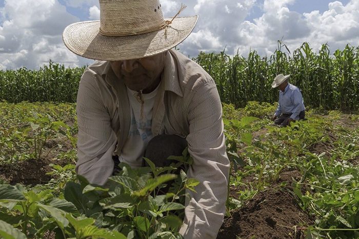 El INEGI presenta el primer censo de impartición de justicia agraria