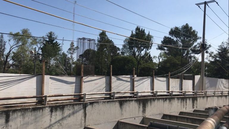 Desaparecen árboles en Chapultepec por obras del Cablebús línea 3
