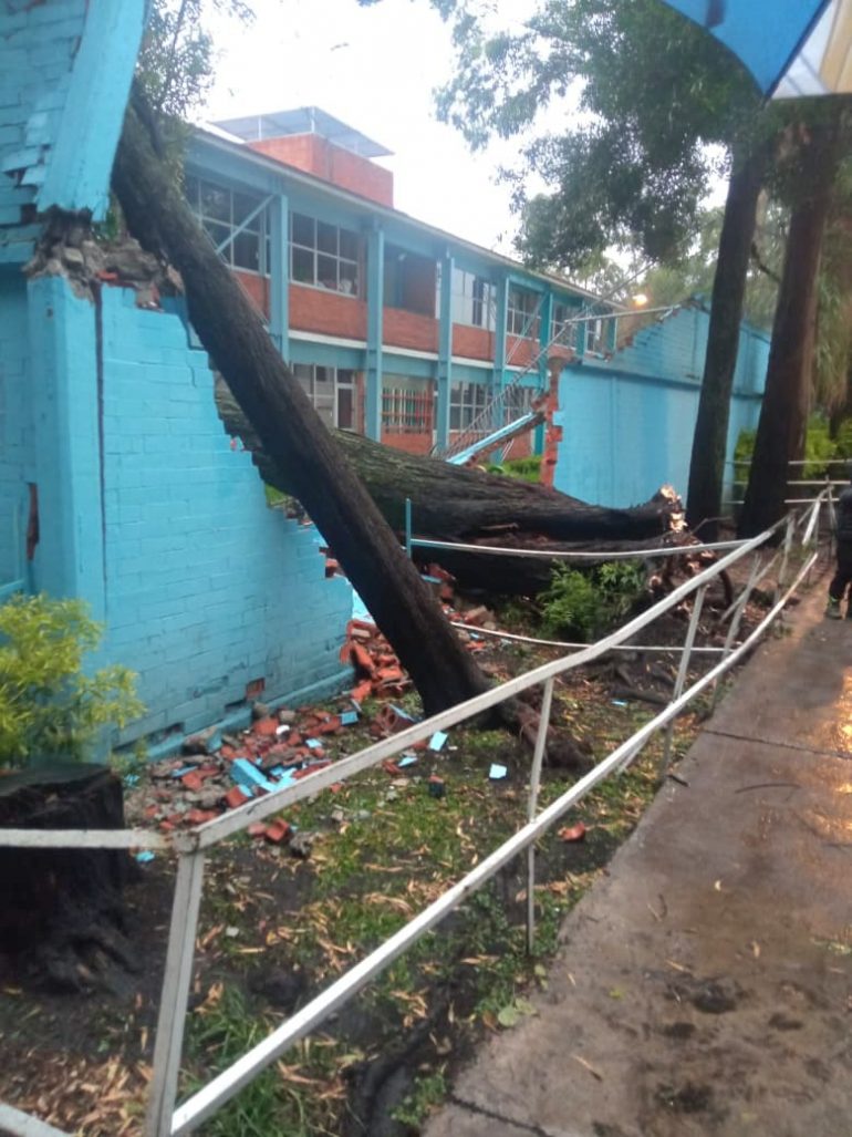 Coyoacán: atienden emergencia por lluvias con ráfagas de viento atípicas