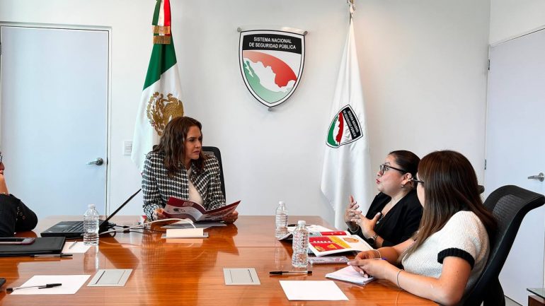 Presenta SESNSP guía de ciberseguridad