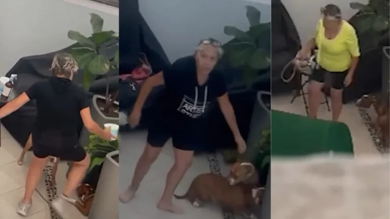Perritas Pitbull son maltratadas por mujer en la Benito Juárez